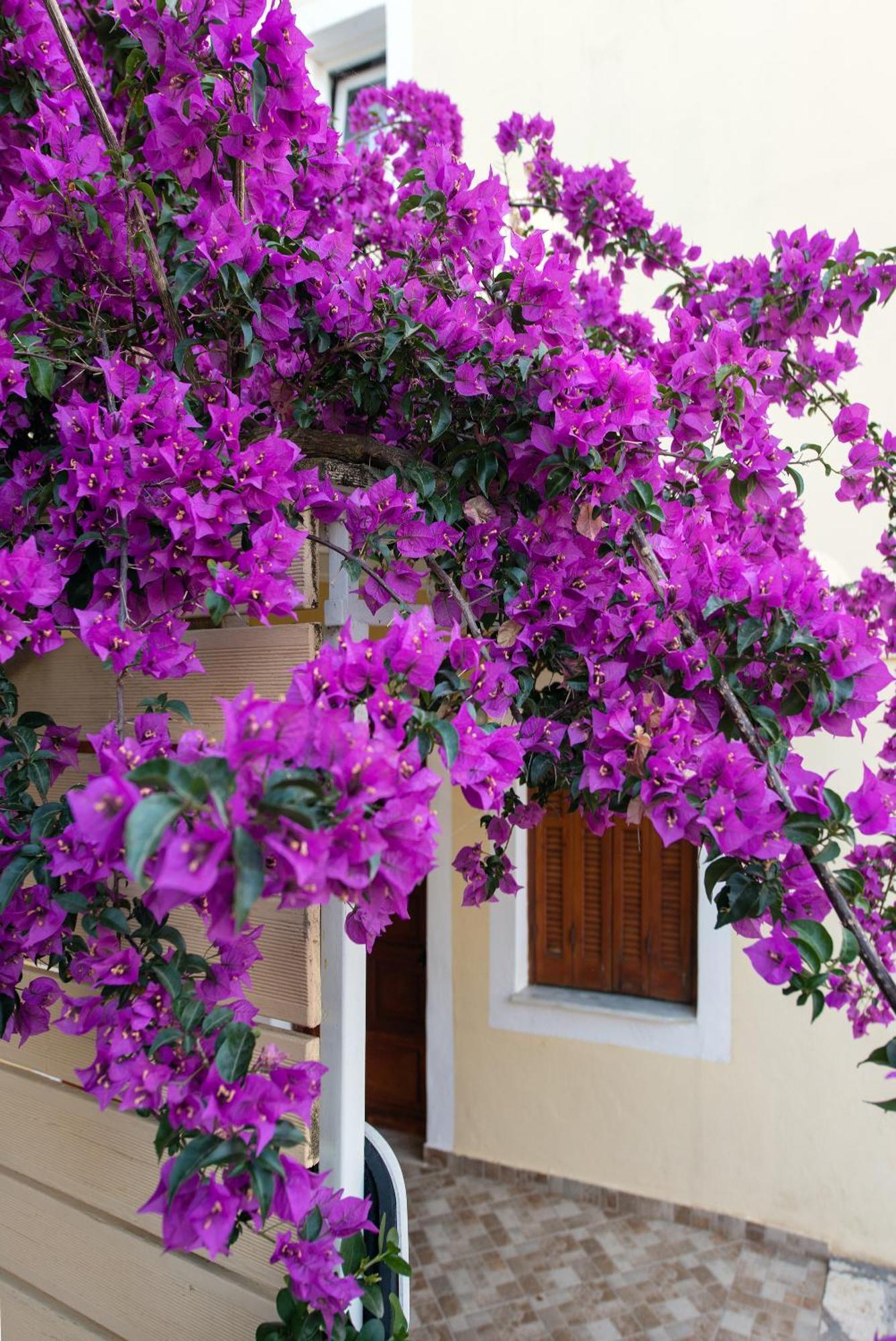 Lofos Hotel Kassiopi Exterior foto
